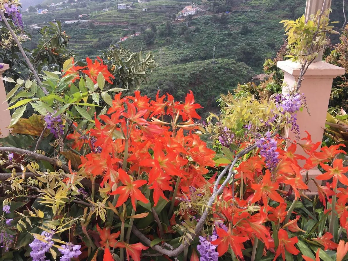 Vila Casa Ayane Santa Cruz de la Palma  Španělsko